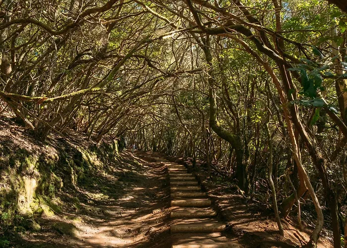 Daire Casa Mila Tejina