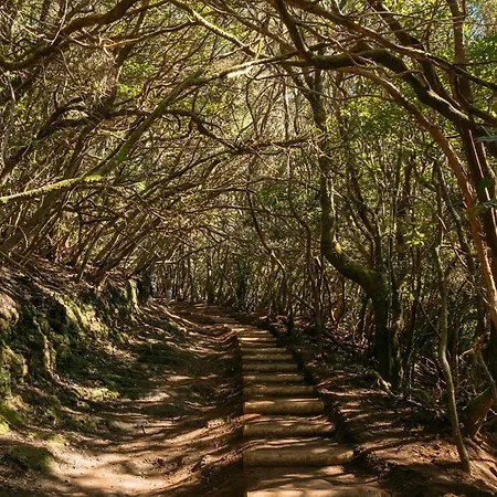 Διαμέρισμα Casa Mila Tejina